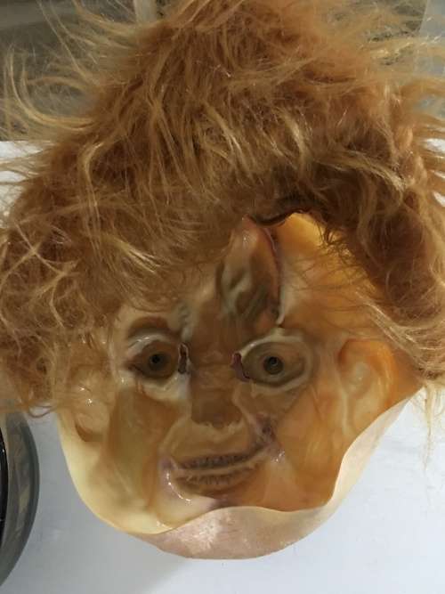 AUTOGRAPHED / SIGNED - ED GALE -  IS  **CHUCKY***   IN CHILDS PLAY A4 SIZE AND FREE CHUCKY MASK!!!!
