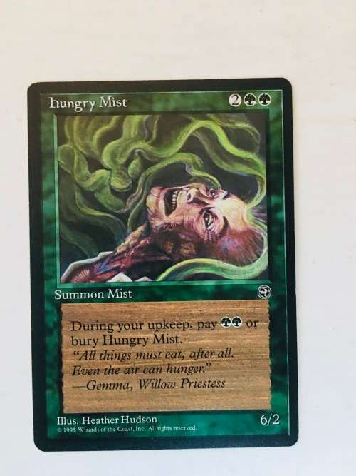 MAGIC THE GATHERING - FORESIGHT X 2 - HUNGRY MIST X 2 - 4 CARDS