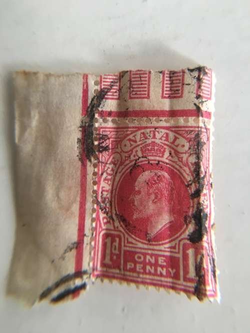 NATAL SOUTH AFRICA - LOVELY 1D 1 PENNY KING EDWARD USED STAMP SIDE OF STAMP FOLDED