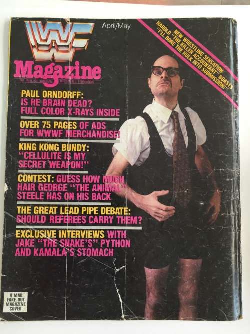VINTAGE - SUPER SPECIAL WRESTLING - NO. 78 - 1991