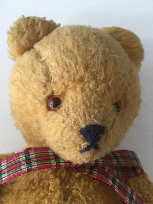 VINTAGE TEDDY BEAR - LEATHER HANDS AND FEET ARMS AND LEGS CAN MOVE OVER 52 YEARS OLD MAYBE MORE