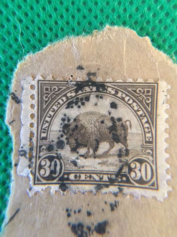 AMERICA BISON USED STAMP 1923