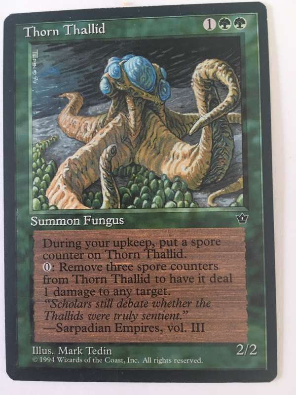 MAGIC THE GATHERING - LOTOF 10 RANDOM CARDS FOR R40 GET YOURS NOW!!!!