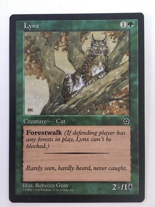 MAGIC THE GATHERING  LOT OF 10 RANDOM CARDS - R40 GET YOURS NOW!!!