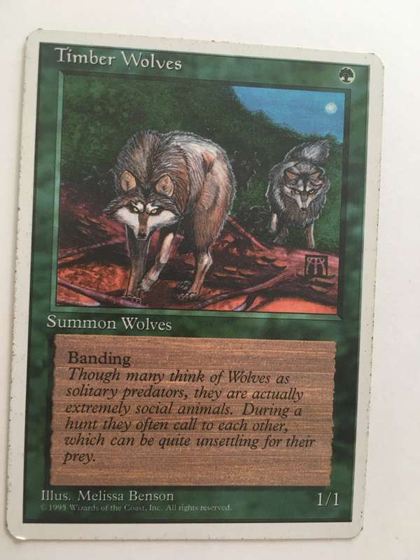 MAGIC THE GATHERING LOT OF 10 CARDS FOR R40 GET YOURS NOW!!!!!