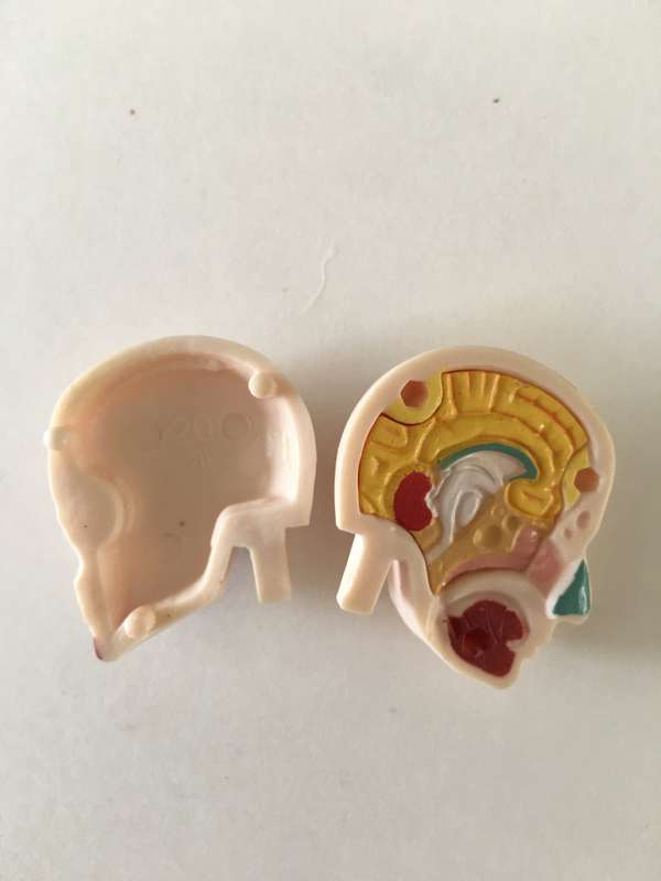 LOVELY SMALL MEDICAL DOLL WITH  REMOVEABLE PARTS