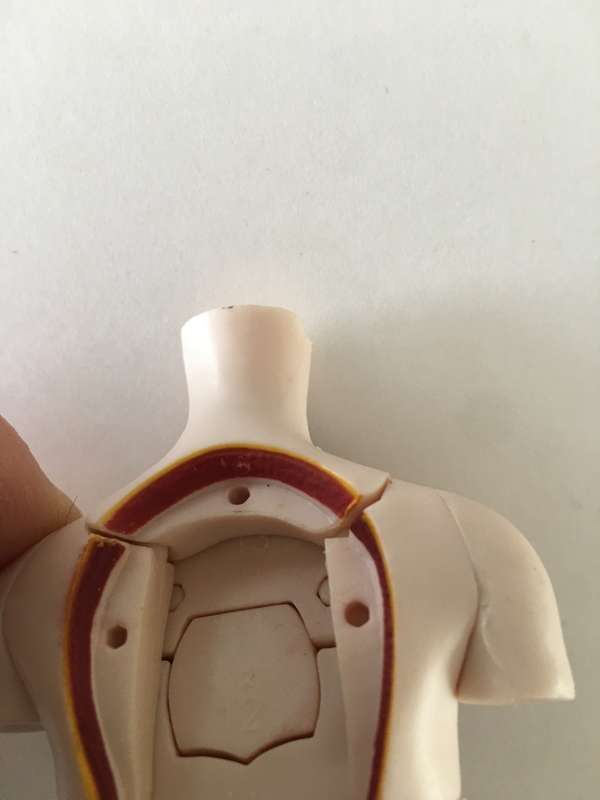 LOVELY SMALL MEDICAL DOLL WITH  REMOVEABLE PARTS