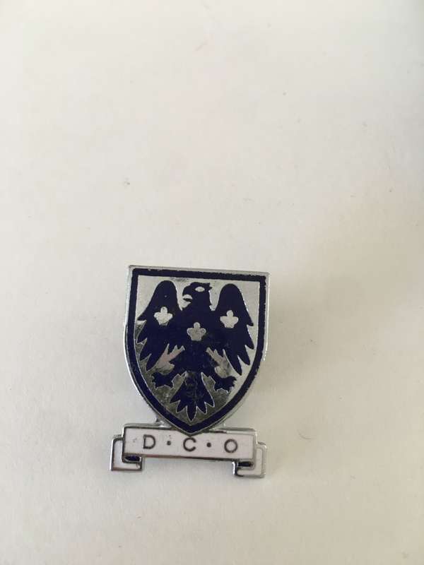 VINTAGE EAGLE BADGE