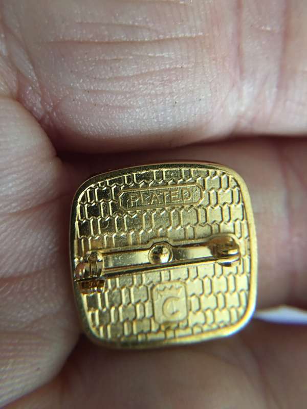 LOVELY GOLD PLATED BADGE WITH LOGO
