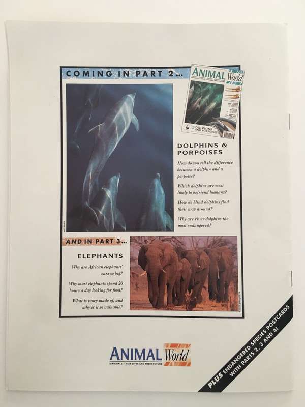 LOVELY MAGAZINE - ANIMAL W0RLD - NO. 1 - LEOPARDS - 1993