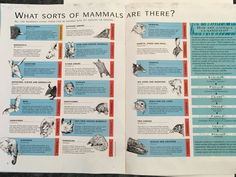 LOVELY MAGAZINE - ANIMAL W0RLD - NO. 7 - BATS - 1993