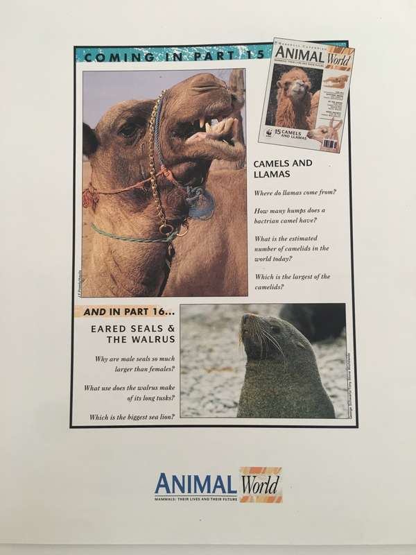 LOVELY MAGAZINE - ANIMAL W0RLD - NO. 14 - TIGERS - 1993