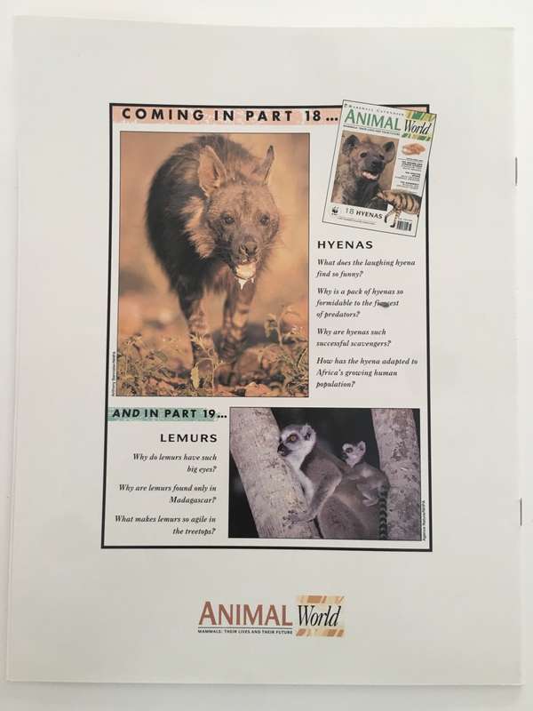 LOVELY MAGAZINE - ANIMAL W0RLD - NO.  17 - RATS AND MICE - 1993