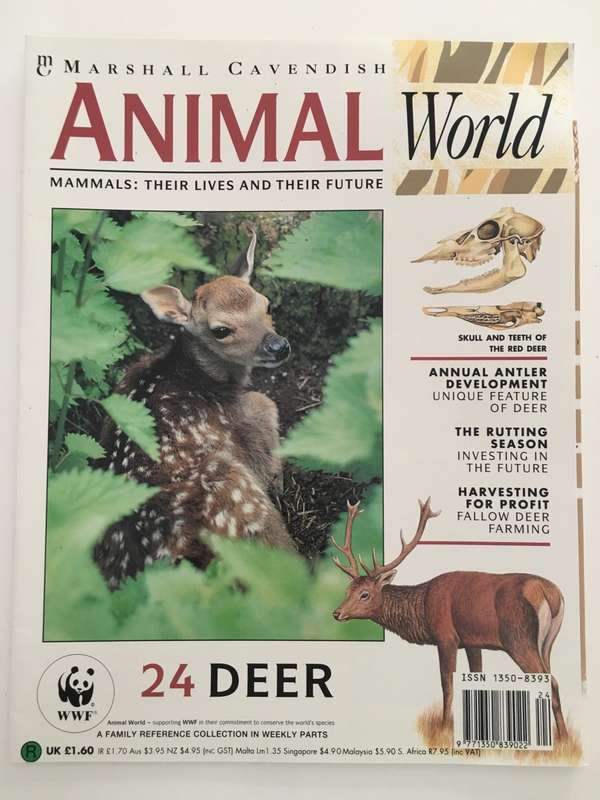 LOVELY MAGAZINE - ANIMAL W0RLD - NO.  24 - DEER - 1993