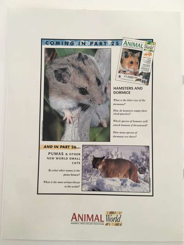 LOVELY MAGAZINE - ANIMAL W0RLD - NO.  24 - DEER - 1993