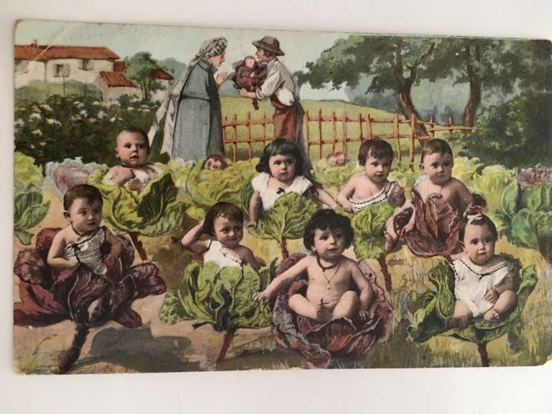 VINTAGE  TO ANTIQUE POST CARD WITH STAMP