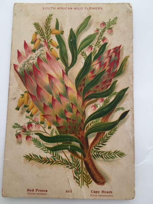 VINTAGE TO ANTIQUE POST CARD WITH STAMP