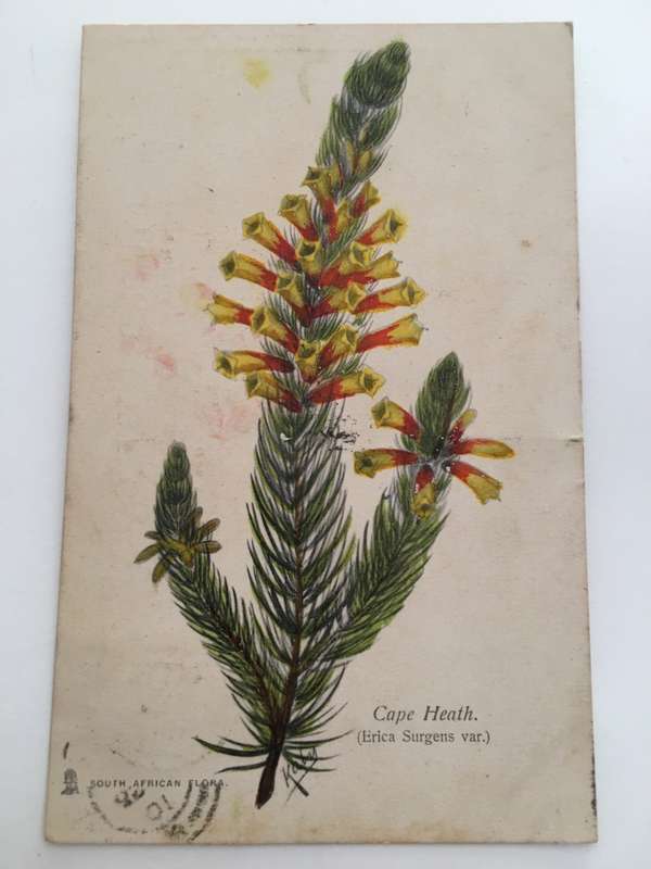 VINTAGE TO ANTIQUE POST CARD WITH STAMP