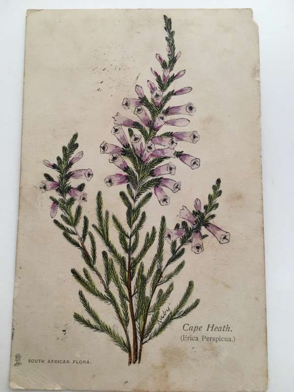 VINTAGE TO ANTIQUE POST CARD WITH STAMP