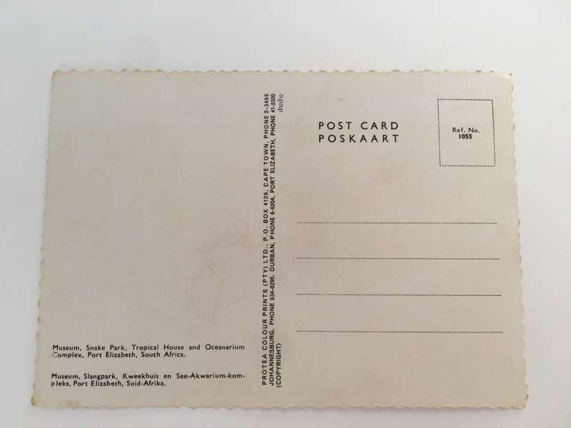 VINTAGE POSTCARD PORT ELIZABETH 60`S - 70`S