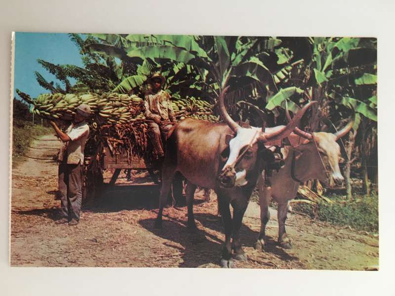 POSTCARD COLOMBIA