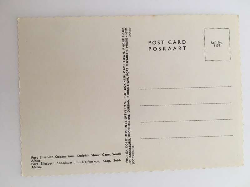 VINTAGE POSTCARD - PORT ELIZABETH - OCEANARIUM - DOLPHIN SHOW