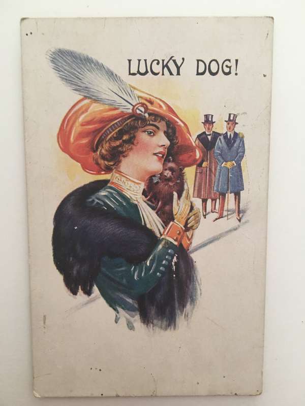 VINTAGE TO ANTIQUE POSTCARD - LUCKY DOG