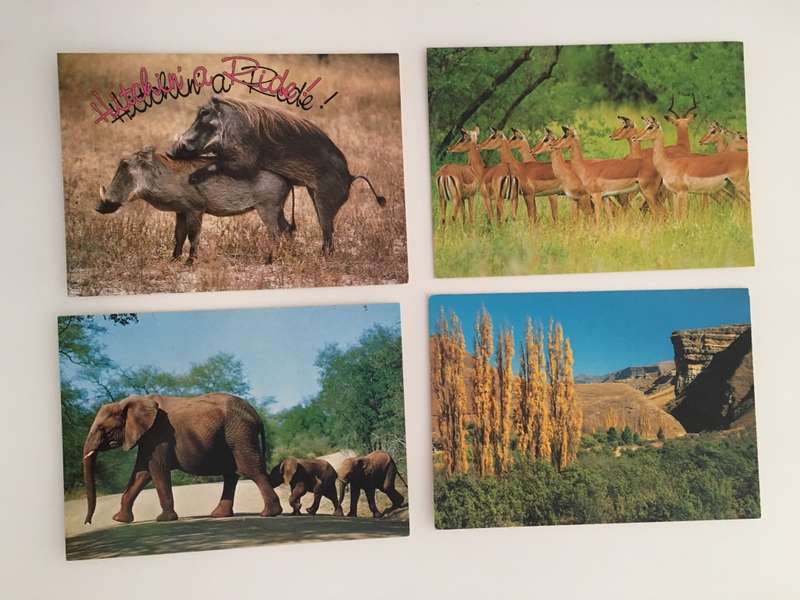 VINTAGE LOT OF 4 POSTCARDS