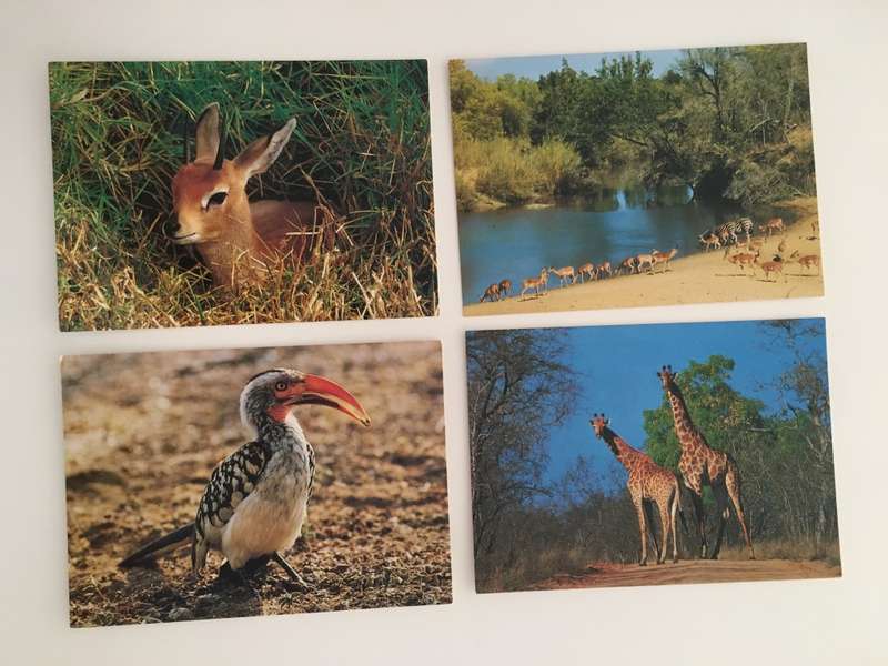 VINTAGE LOT OF 4 POSTCARDS