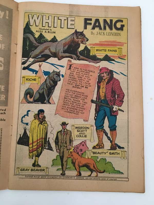 VINTAGE - CLASSICS ILLUSTRATED - WHITE FANG - 1969