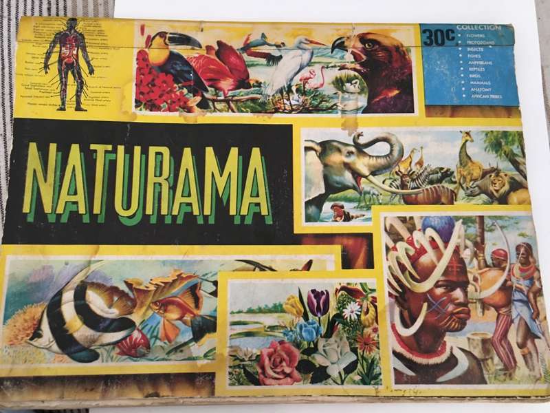 VINTAGE - NATURAMA - 1972 - LOVELY COLOUR COLLECTOR PICTURES  BOOK A FEW MISSING MOSLY COMPLETE
