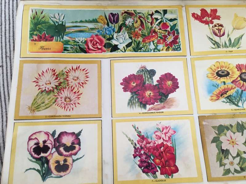 VINTAGE - NATURAMA - 1972 - LOVELY COLOUR COLLECTOR PICTURES  BOOK A FEW MISSING MOSLY COMPLETE
