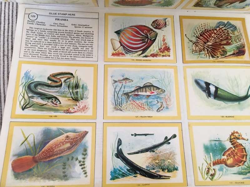 VINTAGE - NATURAMA - 1972 - LOVELY COLOUR COLLECTOR PICTURES  BOOK A FEW MISSING MOSLY COMPLETE