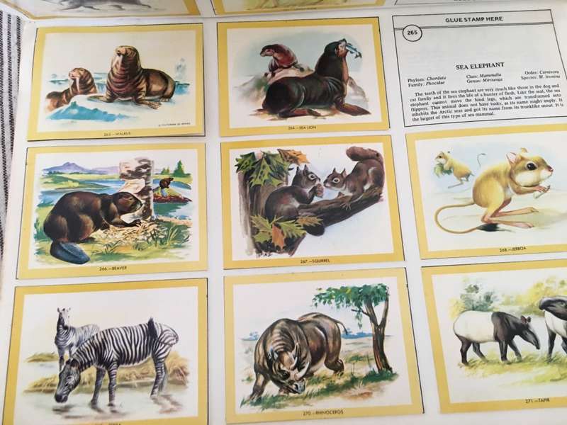 VINTAGE - NATURAMA - 1972 - LOVELY COLOUR COLLECTOR PICTURES  BOOK A FEW MISSING MOSLY COMPLETE