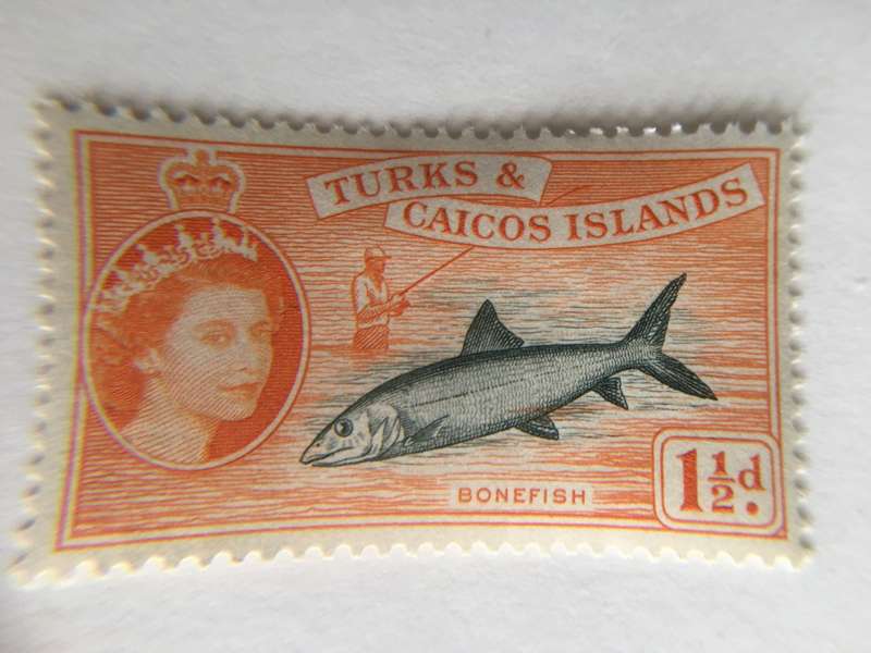 COLONIAL GREAT BRITAIN  UNUSED STAMP