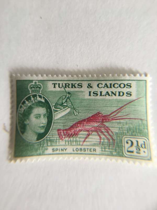 TURKS AND CAICOS  ISLANDS  UNUSED STAMP