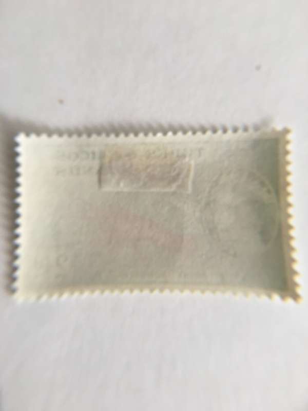 TURKS AND CAICOS  ISLANDS  UNUSED STAMP