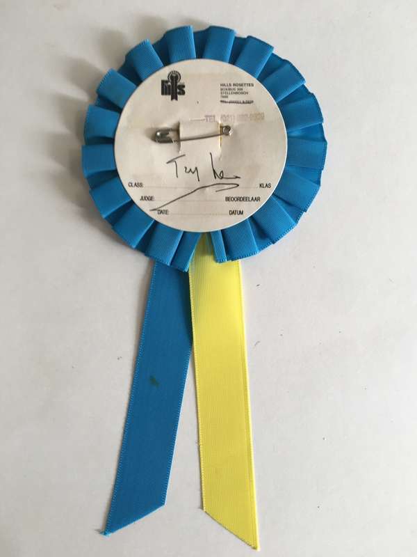 LOVELY DP  PARTY ROSETTE SIGNED BY ITS THEN LEADER TONY LEON