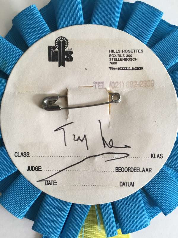 LOVELY DP  PARTY ROSETTE SIGNED BY ITS THEN LEADER TONY LEON