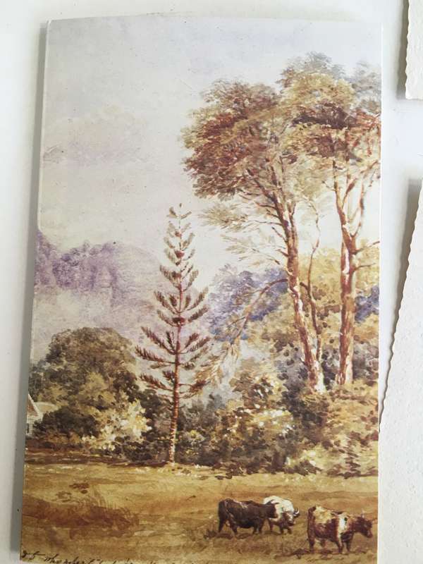 LOVELY VINTAGE CARDS FROM FORMER PRESIDENT WIFE MRS TINI VORSTER