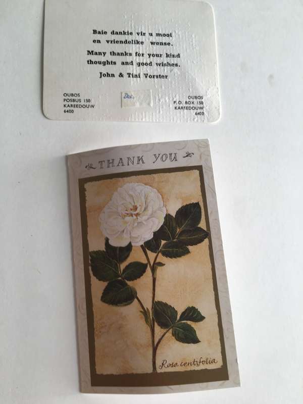 VINTAGE CARDS FROM FORMER PRESIDENT WIFE MRS TINI VORSTER