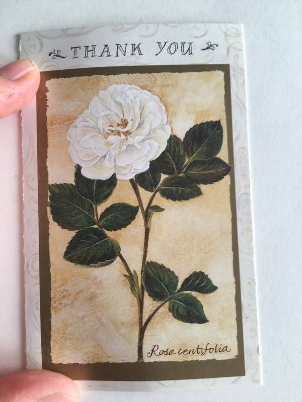 VINTAGE CARDS FROM FORMER PRESIDENT WIFE MRS TINI VORSTER