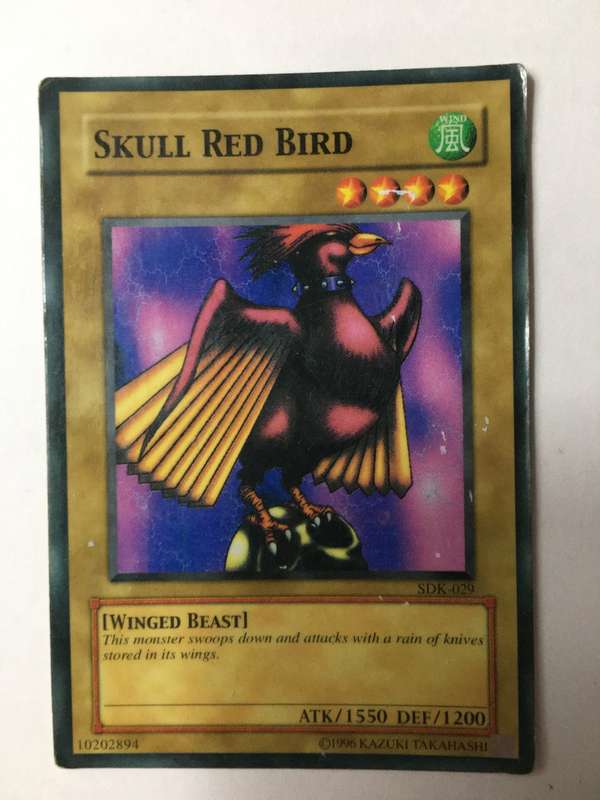 YU-GI-OH TRADING CARD -  SKULL RED BIRD