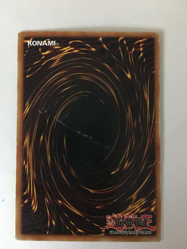 YU-GI-OH TRADING CARD - PALE BEAST