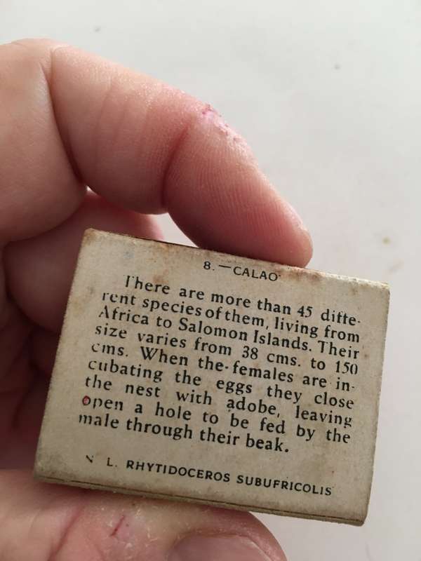 VINTAGE MATCH BOX HAS MATCHES