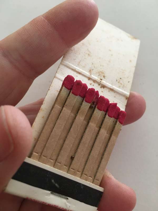 VINTAGE MATCH BOOK WITH MATCHES