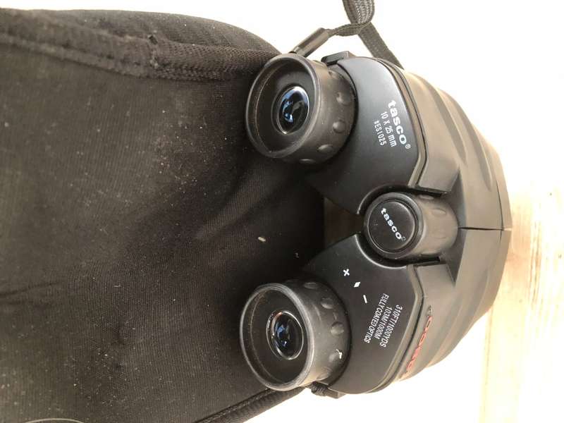 BULK DEAL- TWO TASCO AND ONE ULTRAOPTEC 10X25 POCKET BINOCULARS IN ORIGINAL POUCHES