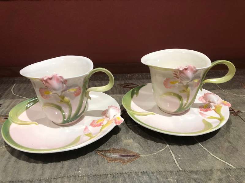 BEAUTIFUL CANNA FLOWER 2 PIECE CUP AND SAUCER DUO