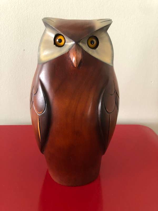 BEAUTIFUL KNYSNA FEATHERS FOSSILS OWL