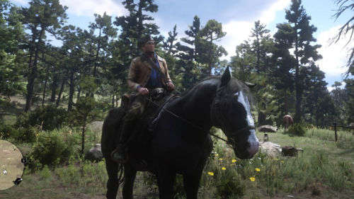 RED DEAD REDEMPTION 2 PC (LINK and CODE  TO DOWNLOAD)
